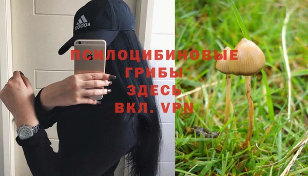 СК Алексеевка
